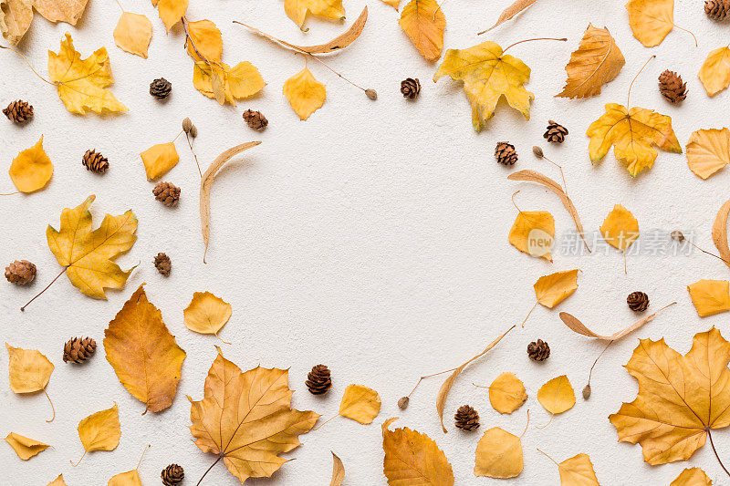用干树叶、球果和橡果做成的秋季作文放在桌子上。平铺，俯视图，拷贝空间
