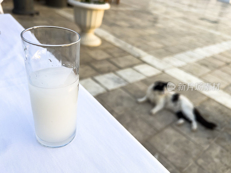 猫躺在乳白色的茴香酒杯旁