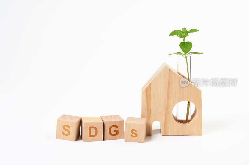 木屋和印有“可持续发展目标”字样的木质立方体。