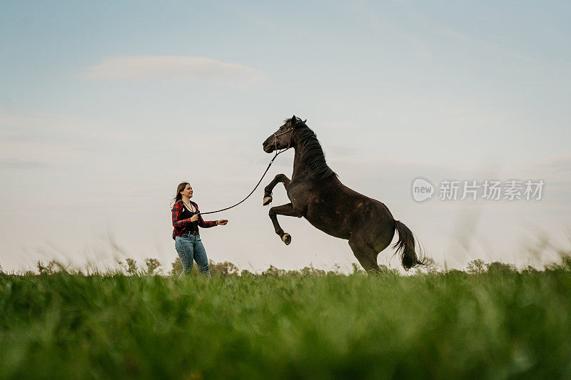 在森林的草地上，对着天空，女牛仔指挥着马