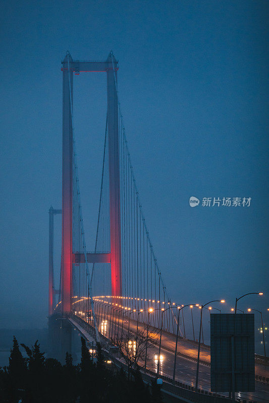 土耳其科卡利的Osmangazi桥夜景。