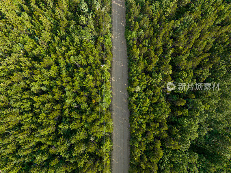 鸟瞰穿过原始森林的林间公路