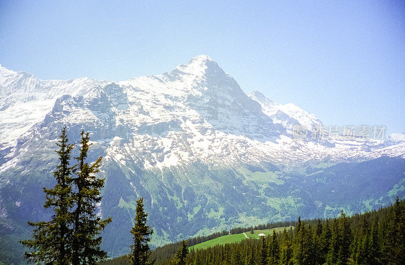 瑞士阿尔卑斯山