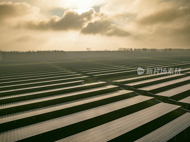 太阳能农场的鸟瞰图，生产清洁的可再生电力能源