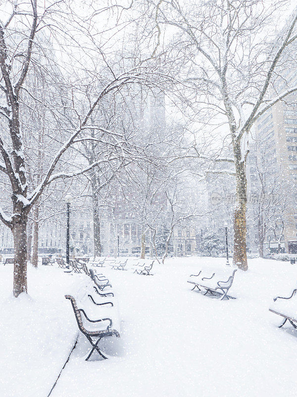 费城中心城市遭遇暴风雪。
