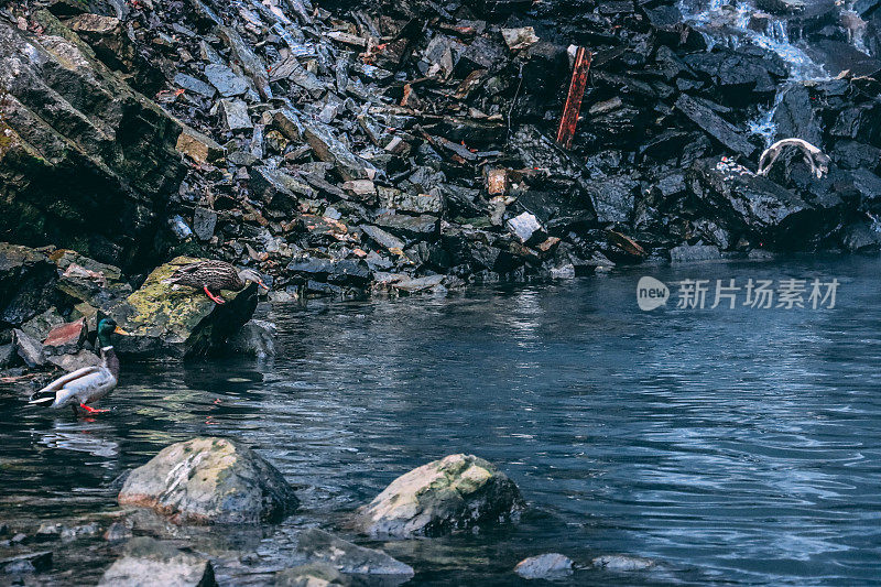 美丽的瀑布从令人惊叹的岩石峭壁上奔流而下;初冬的冷色调;汉密尔顿，安大略省，加拿大