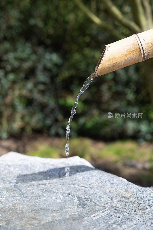 竹制喷泉里的清水。日本园林中的传统竹喷泉。
