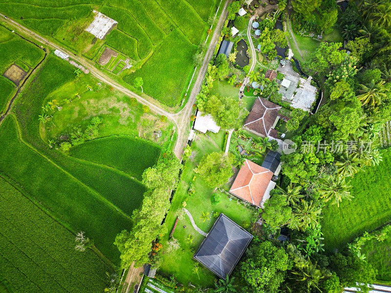 鸟瞰图的建筑位于稻田地区与自然条件在巴基姆，日惹，印度尼西亚-直线运动，向下看90度镜头视频。乡村景色和村庄。