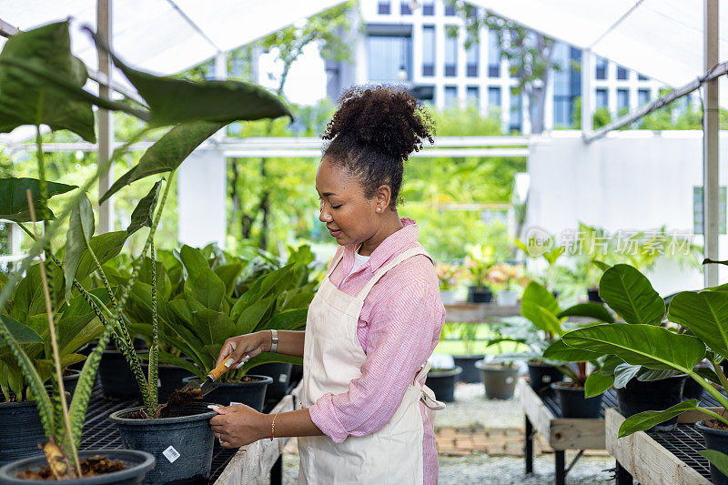一名非洲女园丁在热带雨林的温室里照料她的外来植物，这是一种用于观赏园艺和夏季园艺的小盆栽