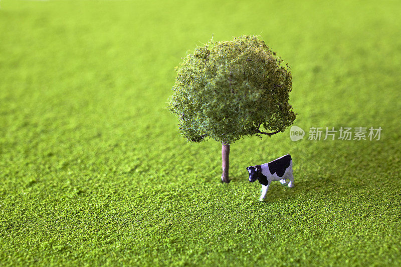 草地上的牛和树的模型