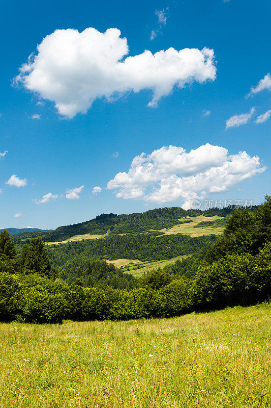 夏天在山脉。Pieniny,斯洛伐克。