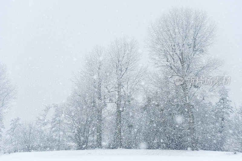 降雪