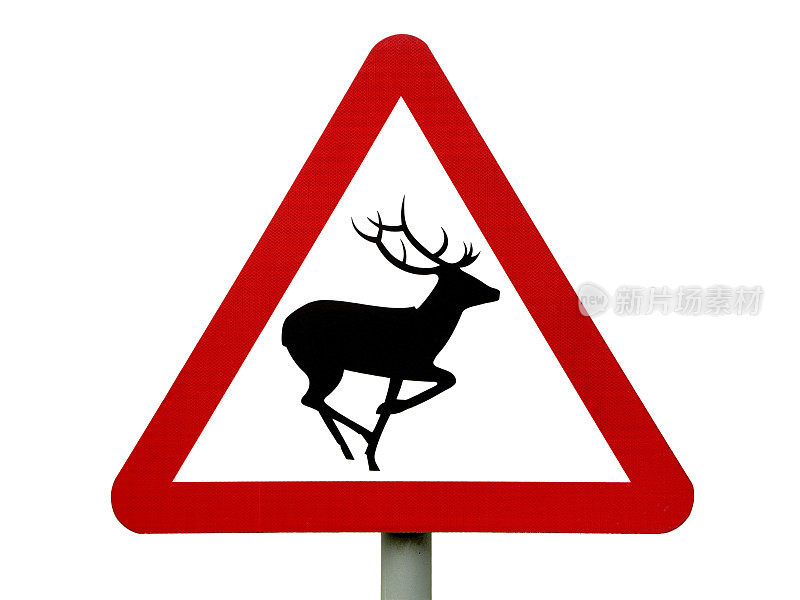 鹿警告标志孤立在白色