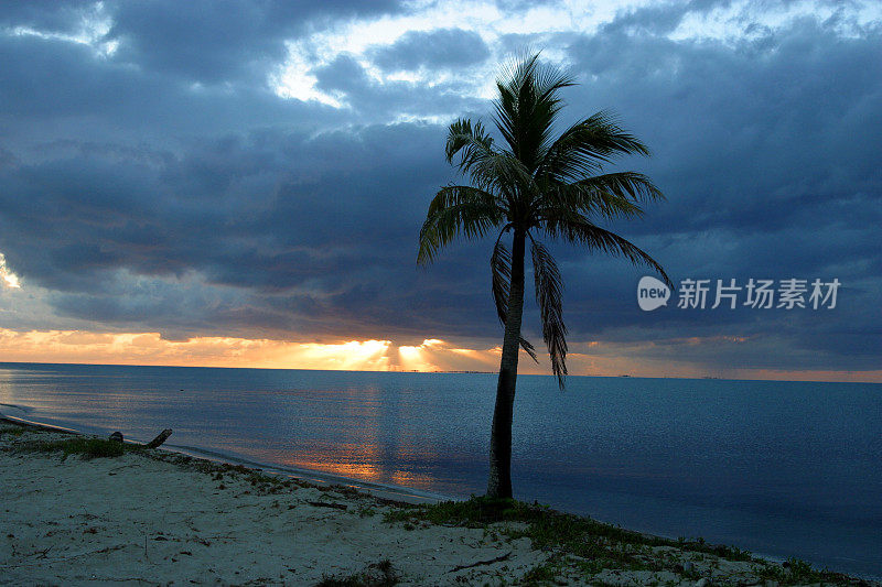 热带海岸