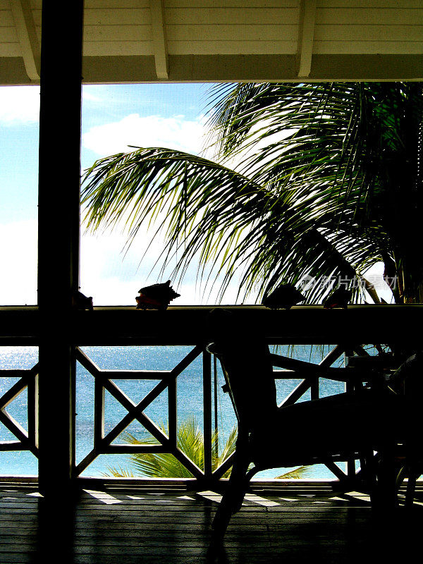 热带的阳台上有棕榈树的剪影