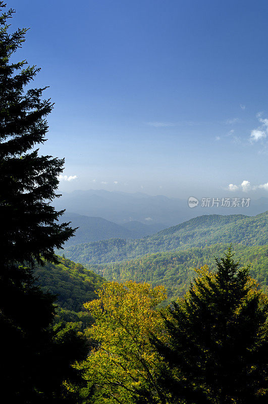 蓝岭公园路国家公园秋天风景，NC，美国