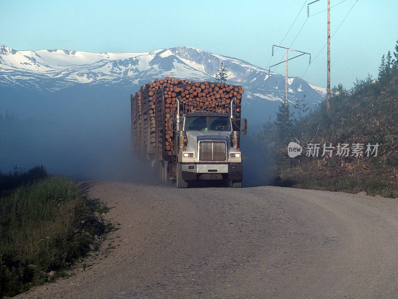 林业道路上的伐木车