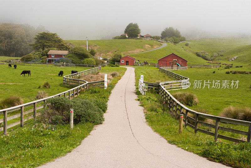 乡村公路和农场索诺玛县海岸加利福尼亚