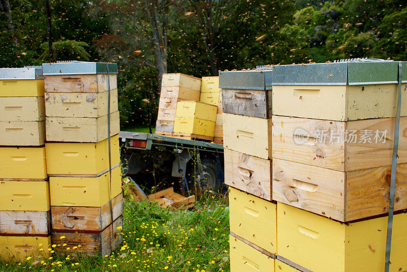 养蜂人，车辆和蜂箱