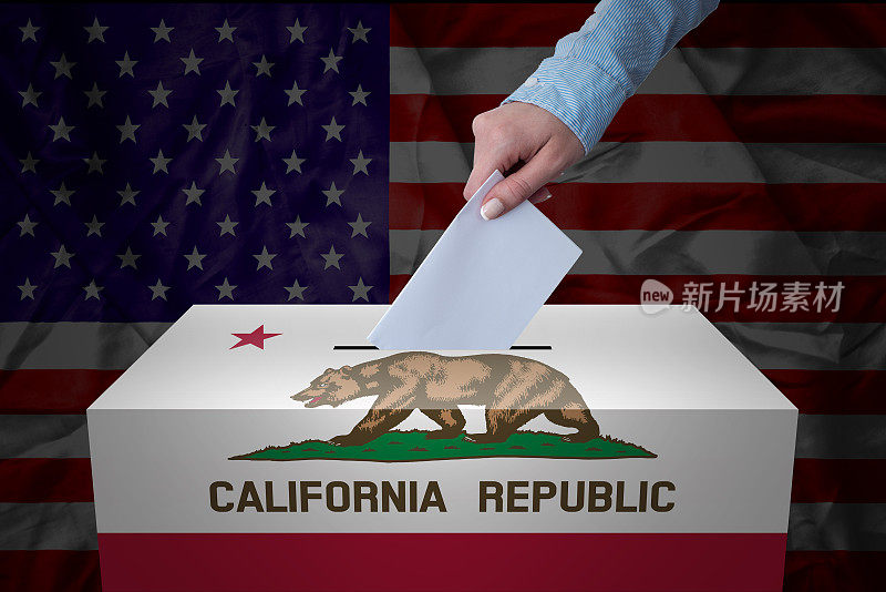 投票箱-选举-加州共和国，美国