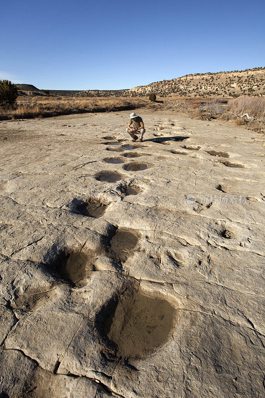 徒步旅行者和巨大的恐龙遗迹科罗拉多州