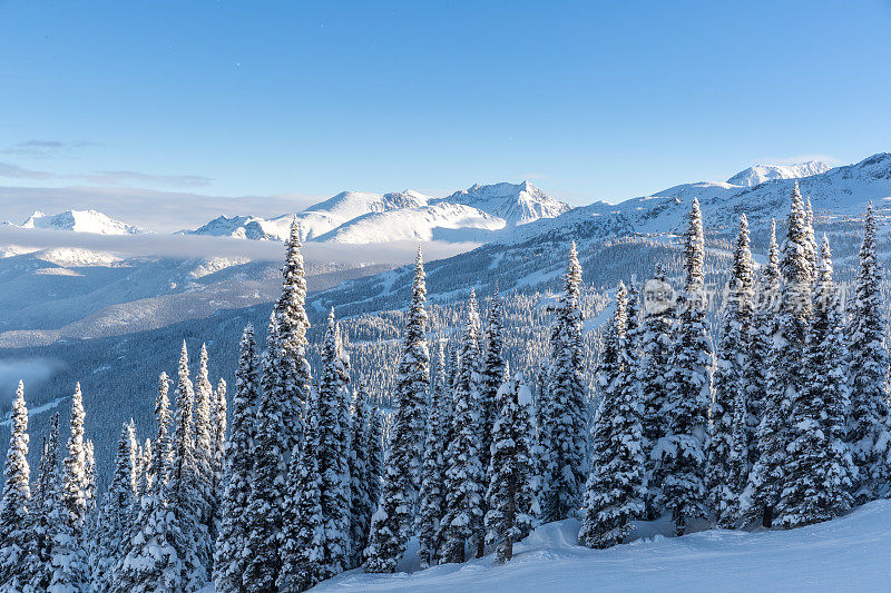 惠斯勒黑梳滑雪场自然景观全景图