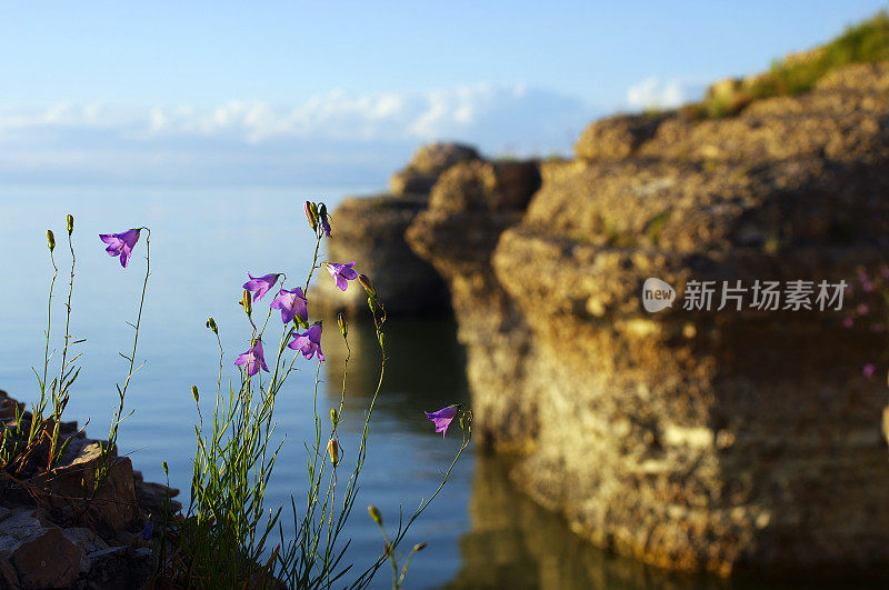 水域边缘