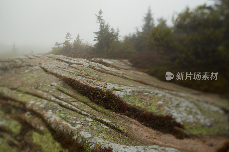 卡迪拉克山上有雾