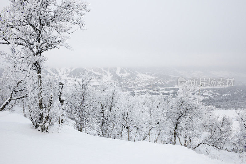 挪威盖洛滑雪场冬天的早晨，雾气蒙蒙