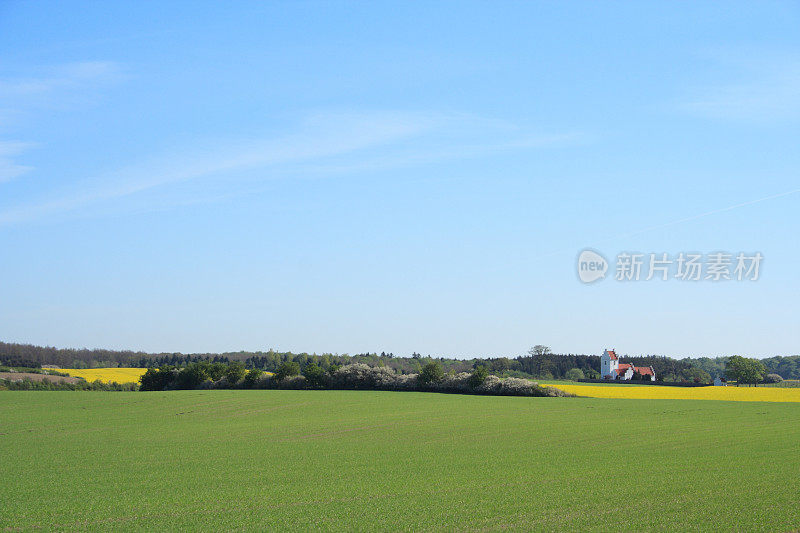 田园诗般的乡村边教区教堂后面的油菜田