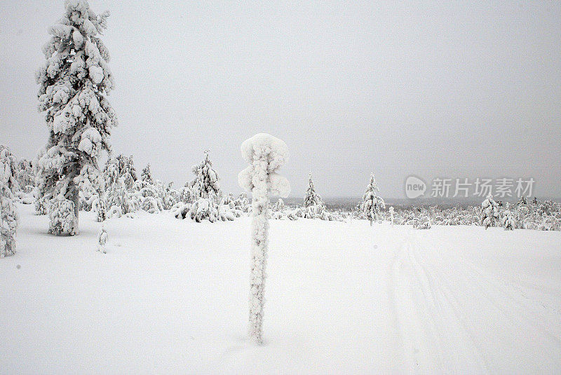 雪标志芬兰拉普兰探险