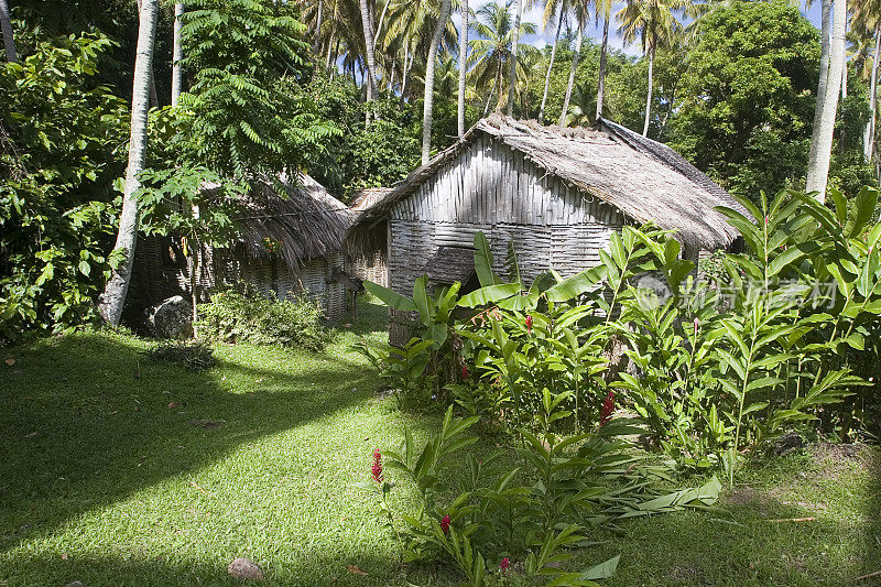 加勒比海的小屋