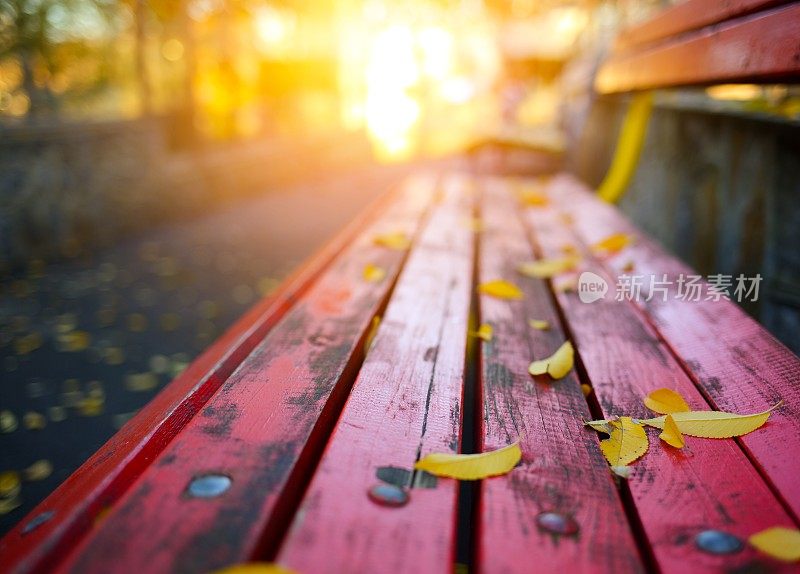秋天的树叶落在公园的长凳上