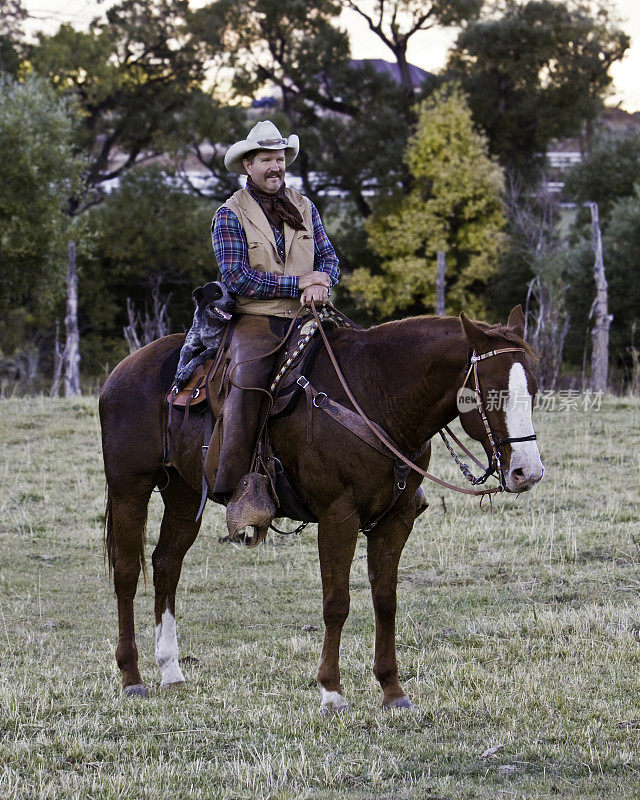 牛仔与马和狗。
