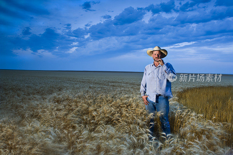 一个在堪萨斯州地里种植小麦的美国农民的环境肖像