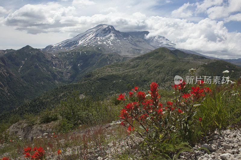 鲜花和圣海伦火山国家火山纪念碑
