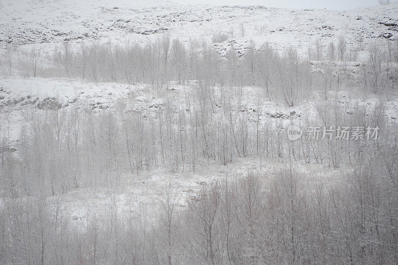 冰岛冬季山景城