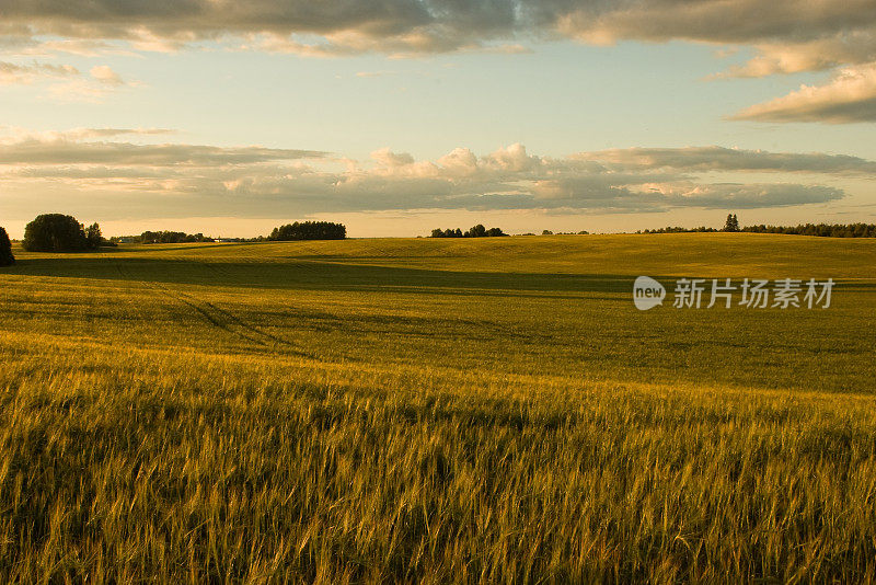 夕阳下的戈恩菲尔德