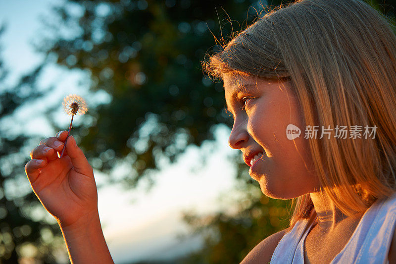 看着蒲公英的女孩。彩色图像