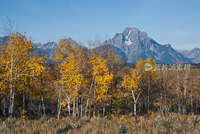 莫兰山和秋杨树