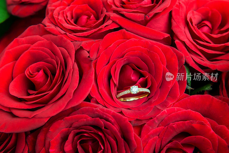 红玫瑰和钻石戒指