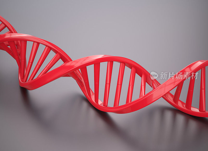 红色的DNA结构