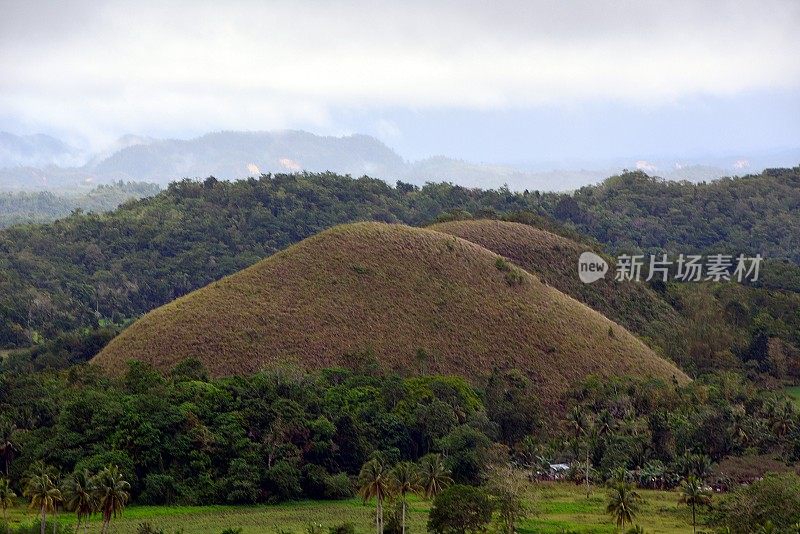 菲律宾保和岛的巧克力山