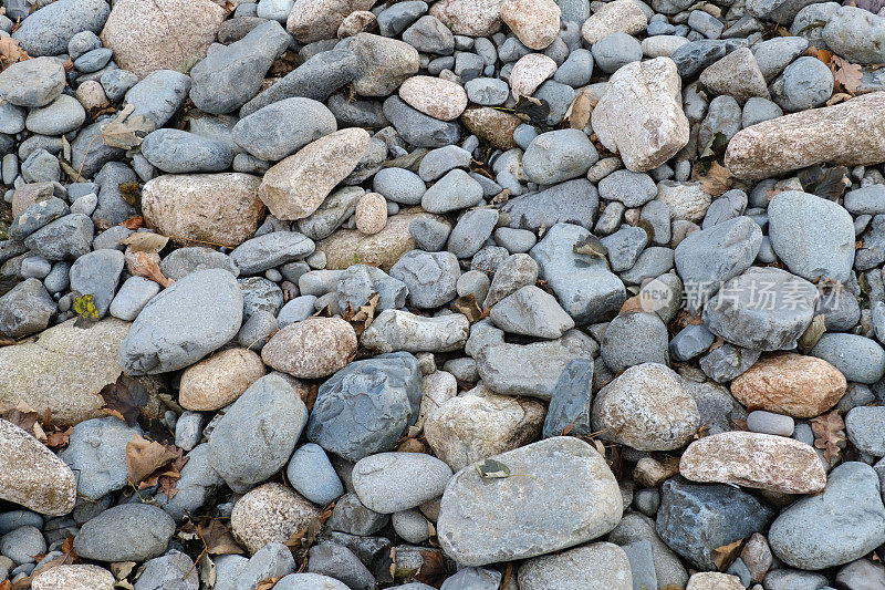 河床岩石和卵石