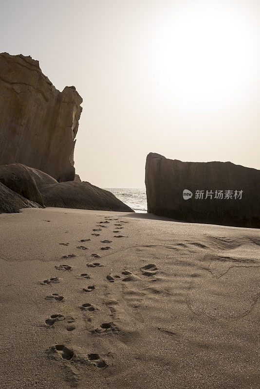 阿曼拉斯金兹海龟保护区沙滩上的脚印