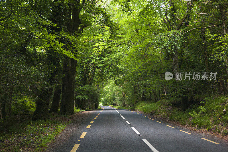 爱尔兰乡村的道路