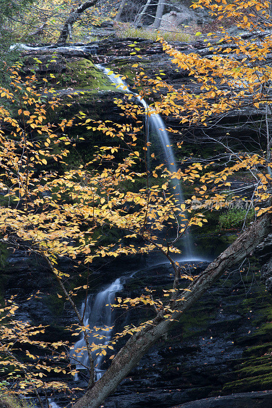 宾夕法尼亚州乔治·w·蔡尔兹公园的瀑布