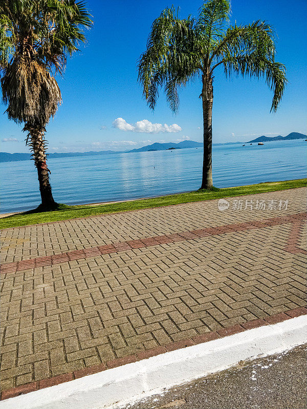 边境上有椰子树和FLorianópolis的木板路，可以看到大海