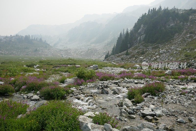 高山流水