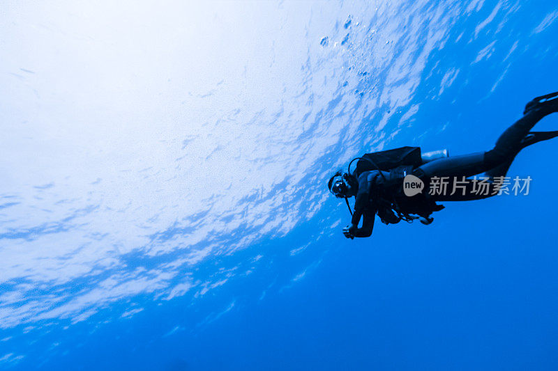 在费尔南多迪诺罗尼亚清澈湛蓝的水中潜水